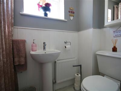 Picture 16